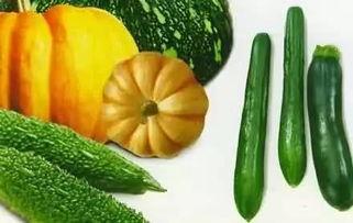 杨枝吃瓜,探寻夏日消暑美食的奥秘