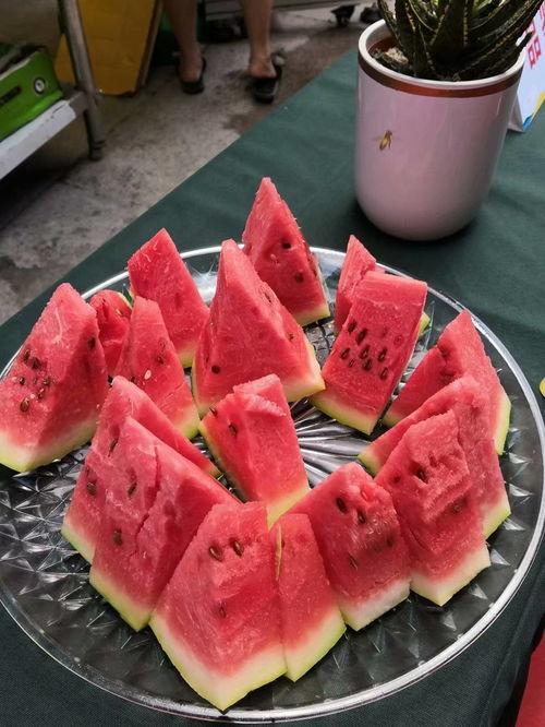 吃瓜届规矩,一网打尽娱乐圈风云