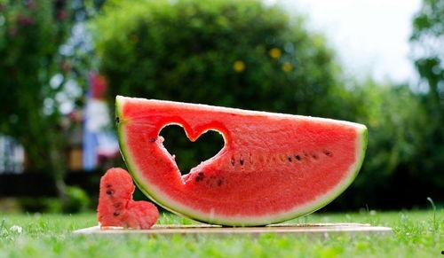 又客与吃瓜,揭秘网络社交背后的趣味与争议